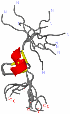 Image NMR Structure - all models