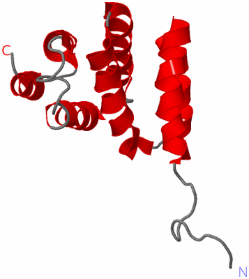 Image NMR Structure - model 1