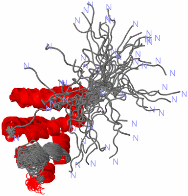 Image NMR Structure - all models