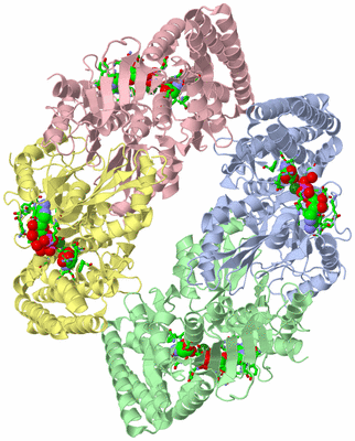 Image Asym./Biol. Unit - sites