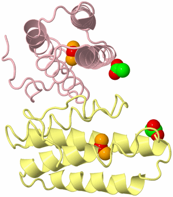 Image Biological Unit 2