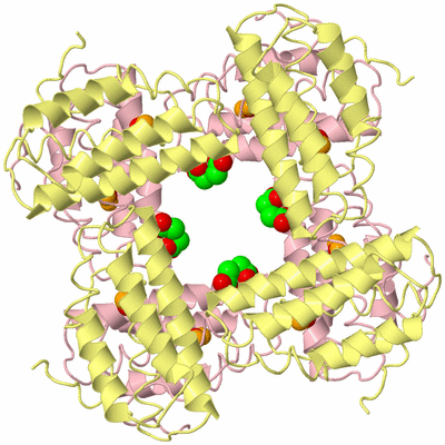 Image Biological Unit 3