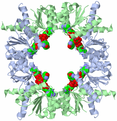 Image Biological Unit 1