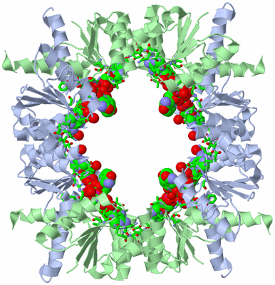 Image Biol. Unit 1 - sites