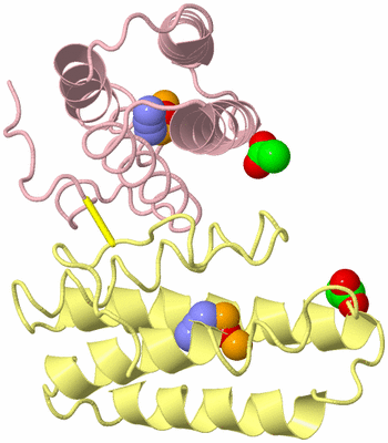 Image Biological Unit 2