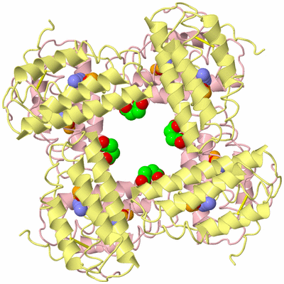 Image Biological Unit 3