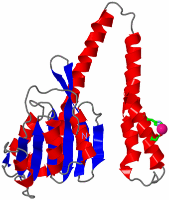 Image Asym. Unit - sites