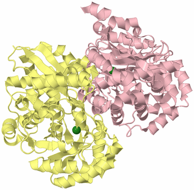 Image Biological Unit 2