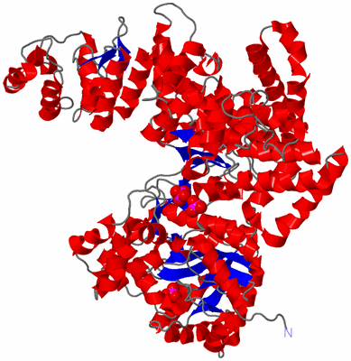 Image Asym./Biol. Unit