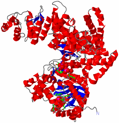 Image Asym./Biol. Unit - sites