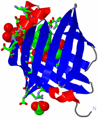 Image Asym./Biol. Unit - sites