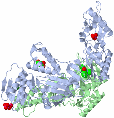 Image Asym./Biol. Unit