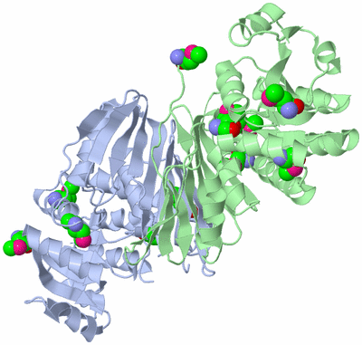 Image Asym./Biol. Unit