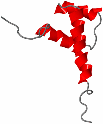 Image NMR Structure - model 1