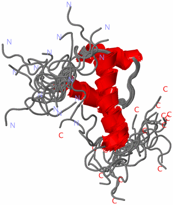 Image NMR Structure - all models