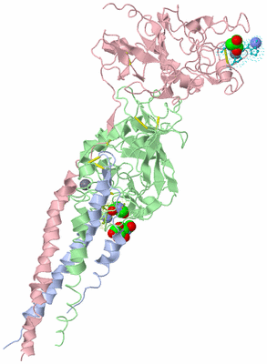 Image Biological Unit 1