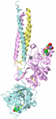 Image Biological Unit 2