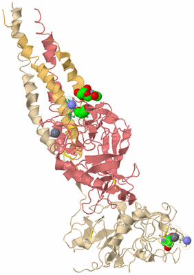 Image Biological Unit 3