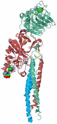 Image Biological Unit 4