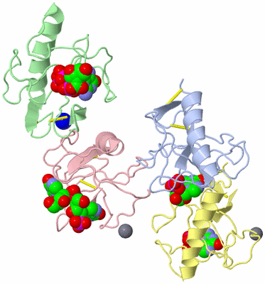 Image Asymmetric Unit