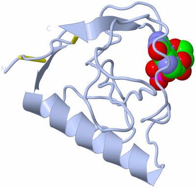 Image Biological Unit 1