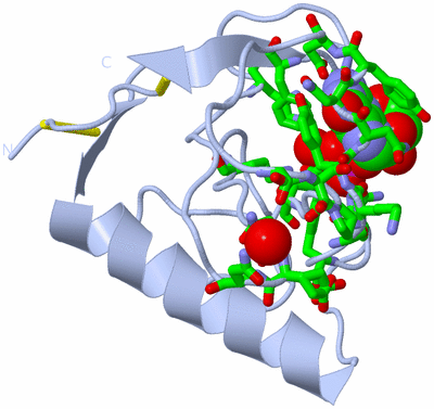 Image Biol. Unit 1 - sites