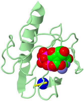 Image Biological Unit 2
