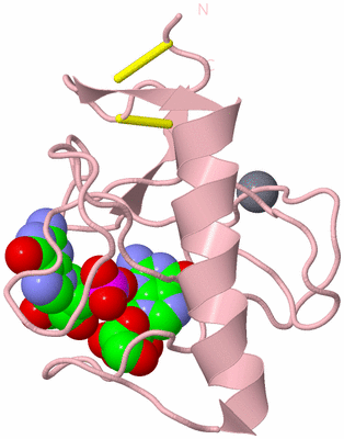 Image Biological Unit 3