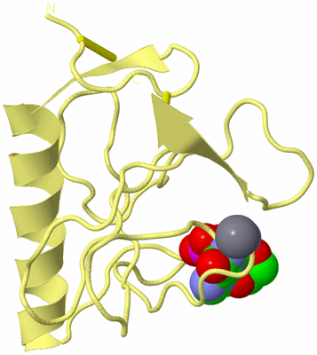 Image Biological Unit 4