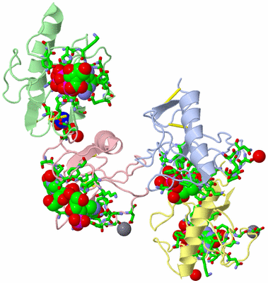 Image Asym. Unit - sites