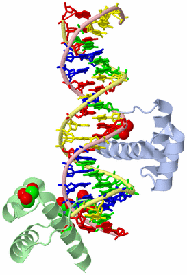 Image Asym./Biol. Unit