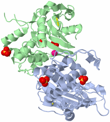 Image Biological Unit 1