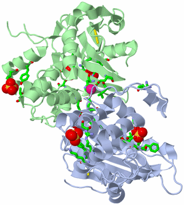 Image Biol. Unit 1 - sites