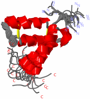 Image NMR Structure - all models