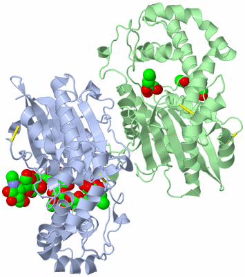 Image Biological Unit 1