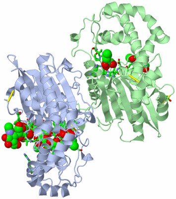 Image Biol. Unit 1 - sites