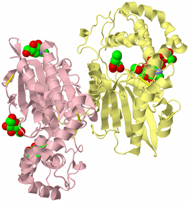 Image Biological Unit 2