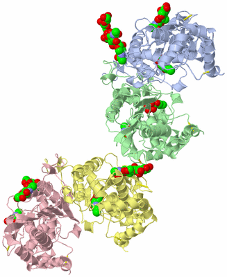 Image Biological Unit 3