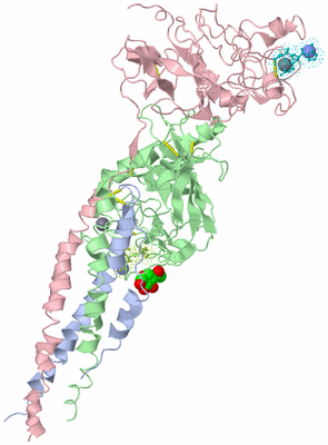 Image Biological Unit 1