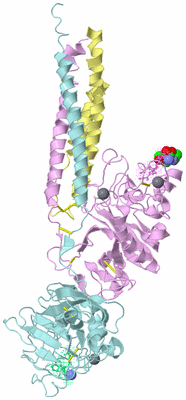 Image Biological Unit 2