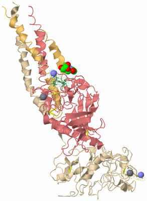 Image Biological Unit 3