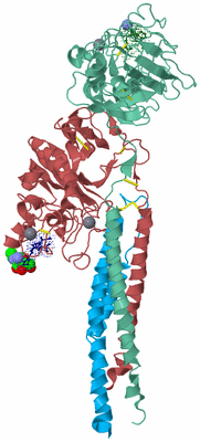 Image Biological Unit 4