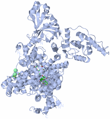 Image Biol. Unit 1 - sites