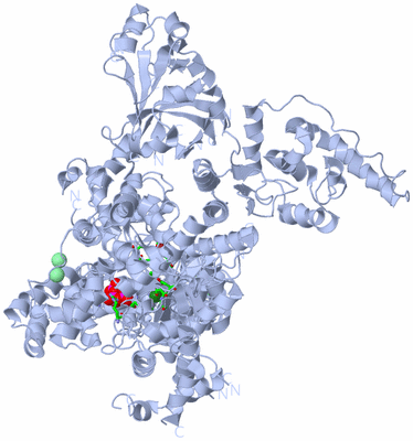 Image Biol. Unit 1 - sites