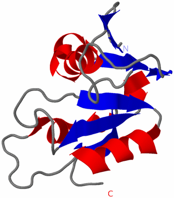 Image NMR Structure - model 1