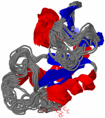 Image NMR Structure - all models