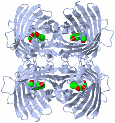 Image Biological Unit 3