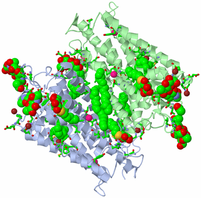 Image Biol. Unit 1 - sites