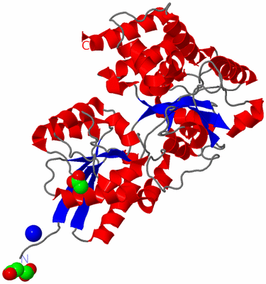 Image Asym./Biol. Unit