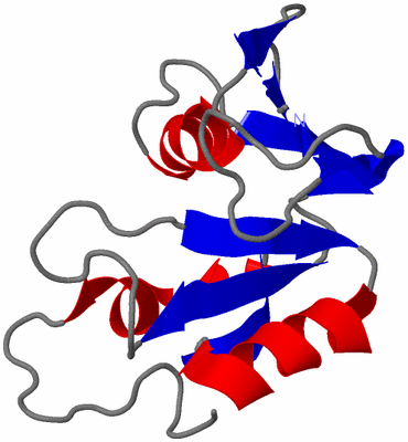 Image NMR Structure - model 1